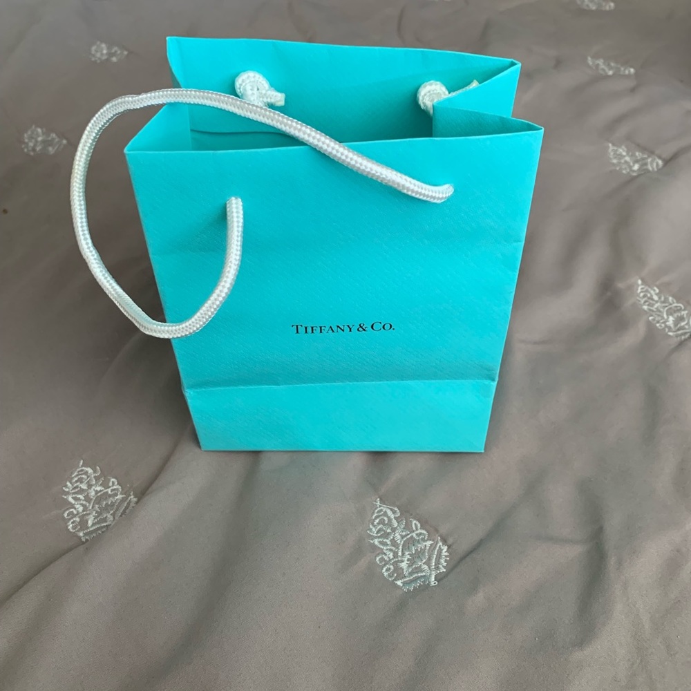 Tiffany & Co. small gift bag